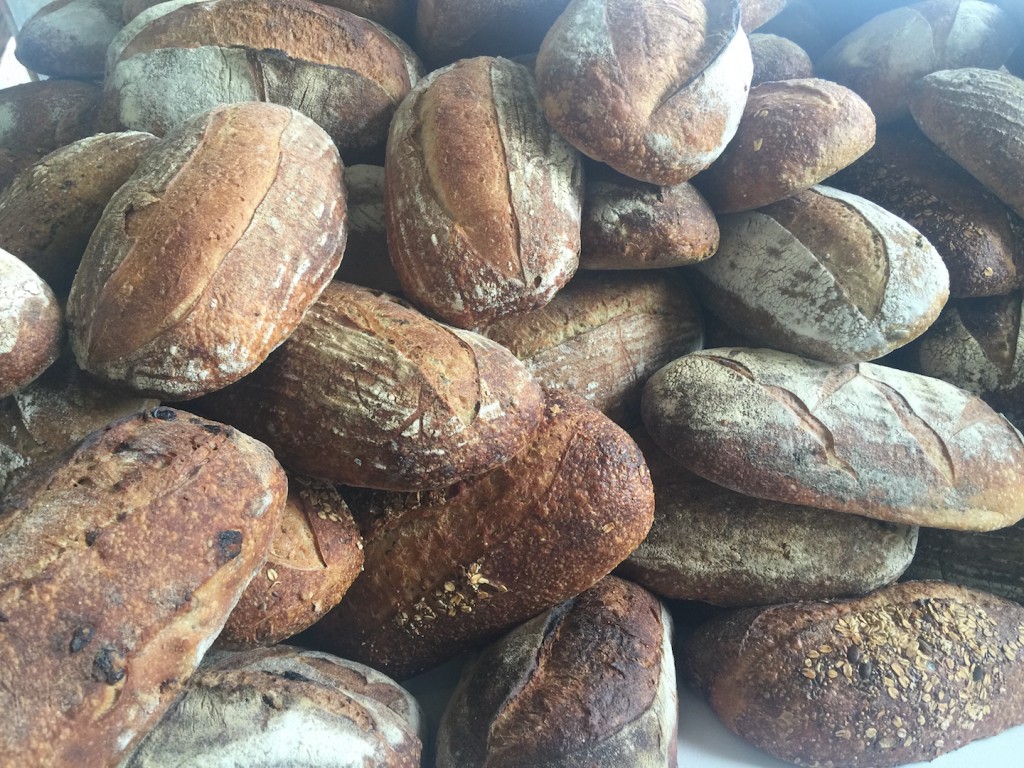 Jennifer Rubell's Devotion