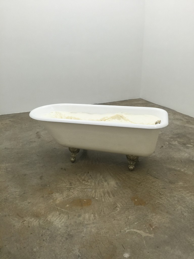Janine Antoni at the Rubell Family collection. 